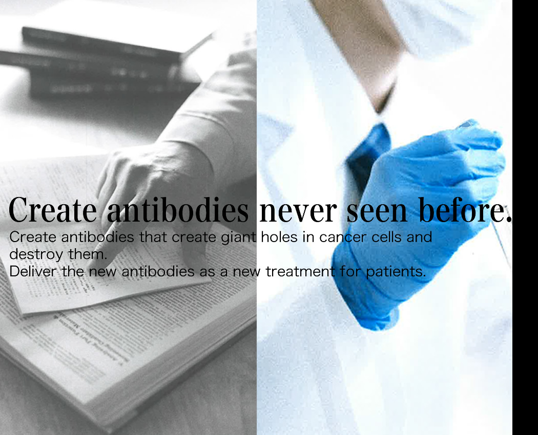 Create antibodies that create giant holes in cancer cells and destroy them.
Deliver the new antibodies as a new treatment for patients.