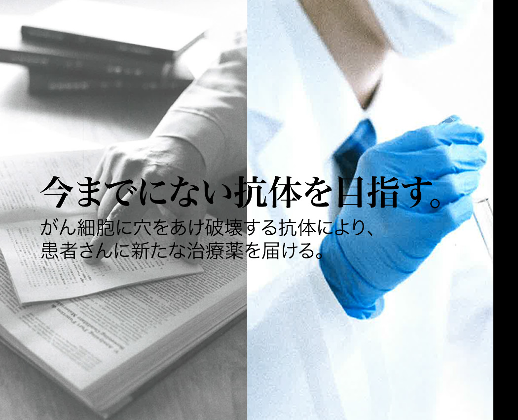 がん細胞に穴をあけ破壊する抗体により、患者さんに新たな治療薬を届ける。
